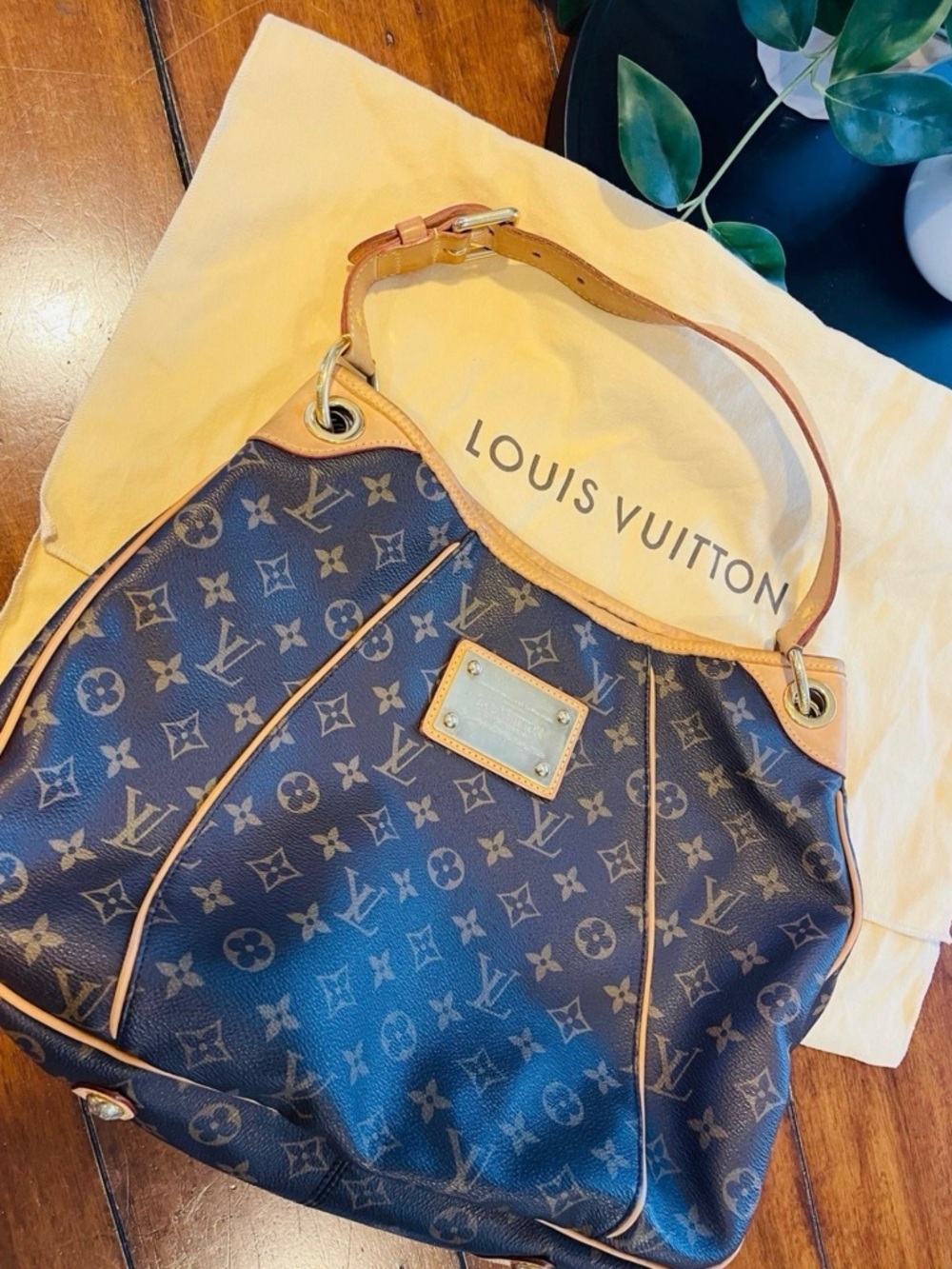 Louis Vuitton Monogram Galliera PM Shoulder Bag